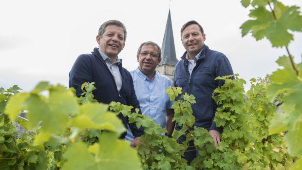 Domaine Henri Bourgeois - Image 2